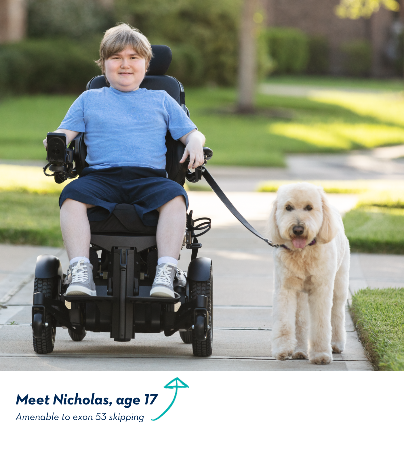 Meet Nicholas, age 17. Amenable to exon 53 skipping